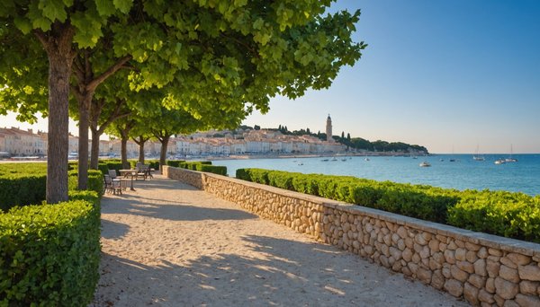 Top locations saisonnières à ne pas manquer à saint-cyr-sur-mer